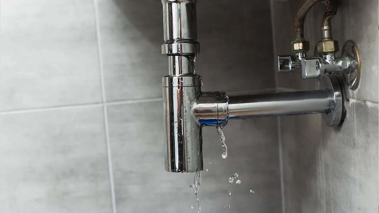 Hidden Plumbing Leaks