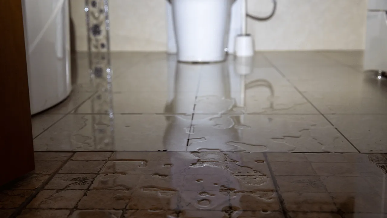 Main Sewer Line Clog Symptoms